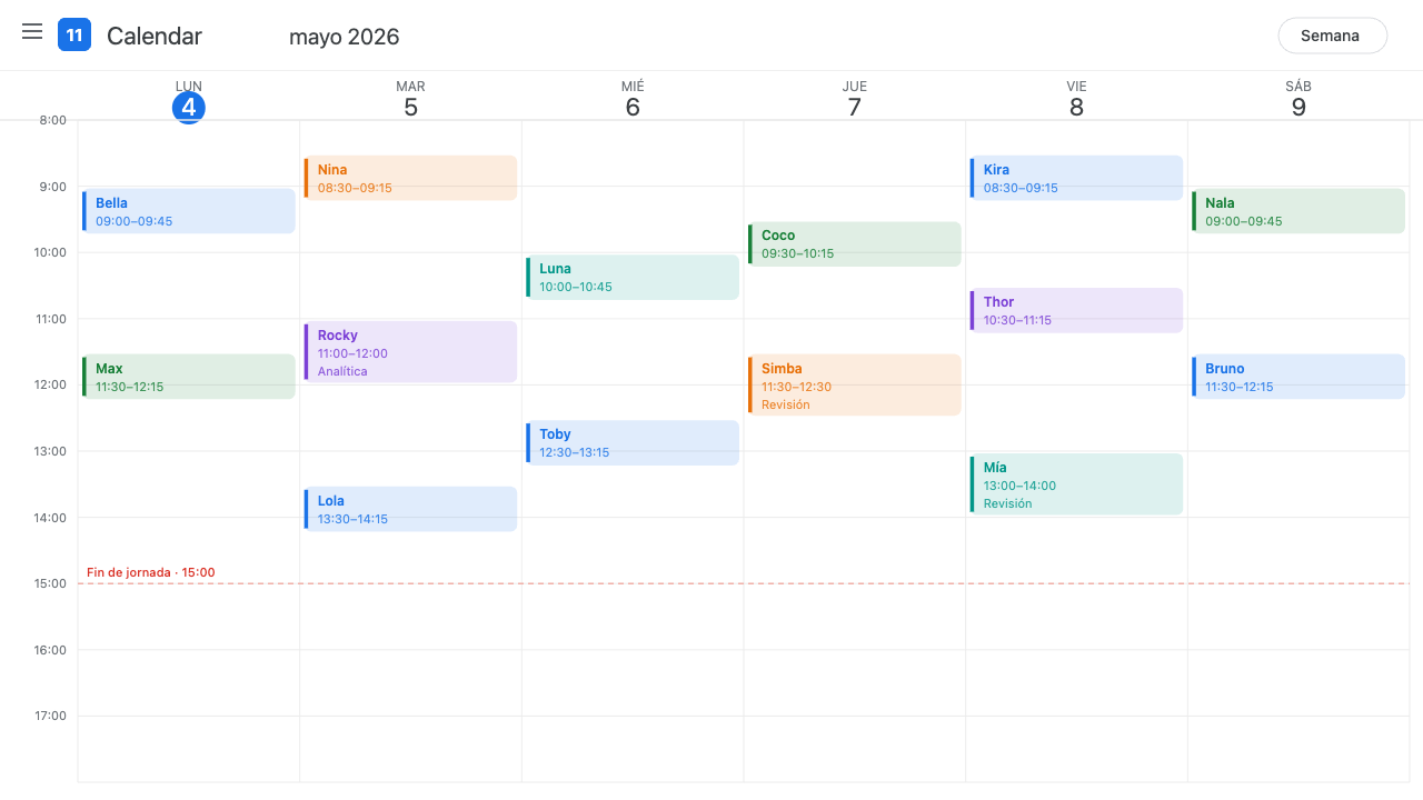 Agenda de Google Calendar de Leonor con visitas solo antes de las 15:00